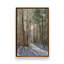 «Light Through the Trees» par Stephen Calcasola, reproduction d'art-249418781-249418780