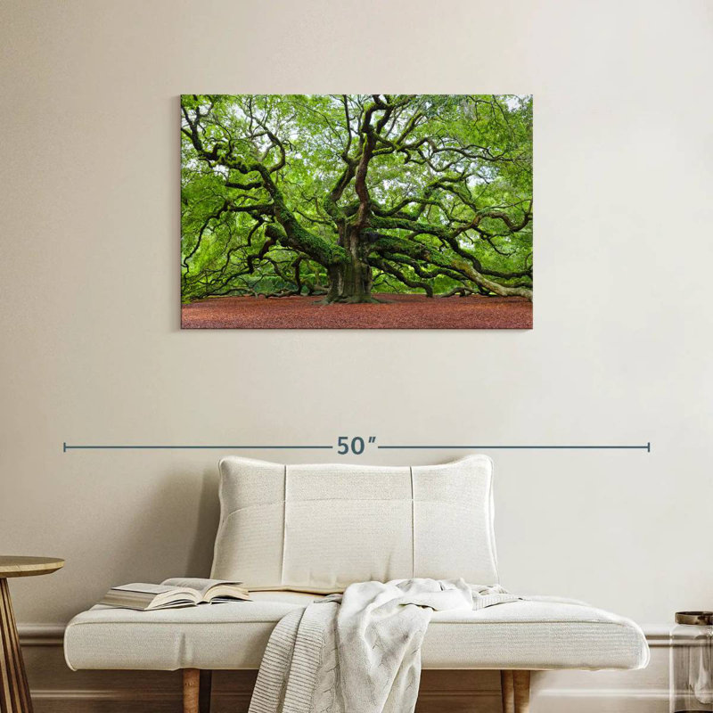 Harnek Lush Oak Tree, 24" H x 36" W