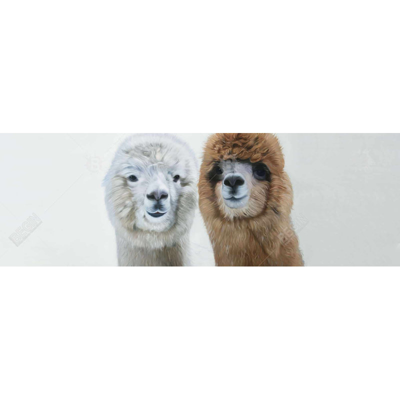 «Two Lamas» sur toile, H 20 po x l 60 po