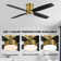 Bonnitta 52'' Ceiling Fan with LED Lights