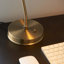 Ziemer Metal Desk Lamp