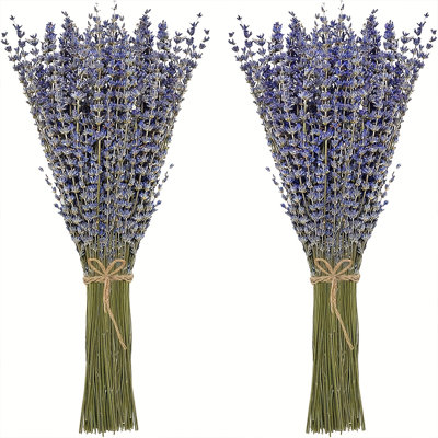 Dried Lavender Bundles180 Natural Dried Lavender Flowers for Home Decoration, Photo Props, Home Fragrance