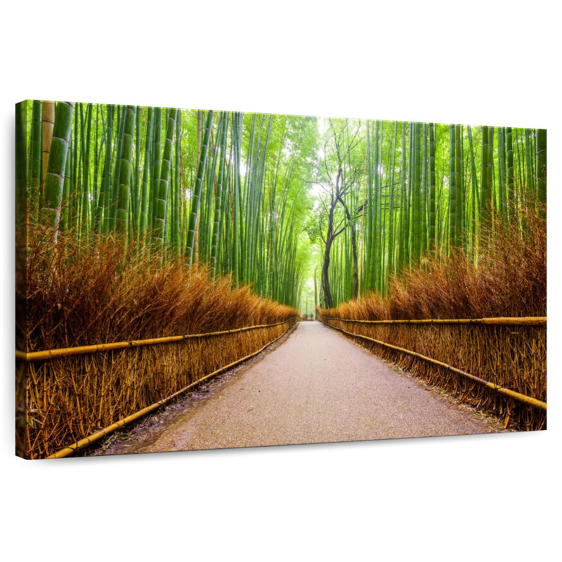 Sentier de bambou Nicci d'Arashiyama, H 16 po x l 24 po