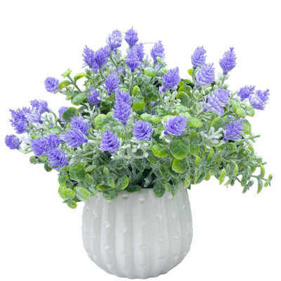 Arrangement in Pot