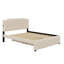 Lit plateforme tapissier avec lit gigogne et 2 ensembles de ports USB-1295917233