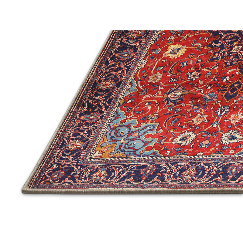 Noelia Oriental Indoor Rug, Rectangle 4' x 6'