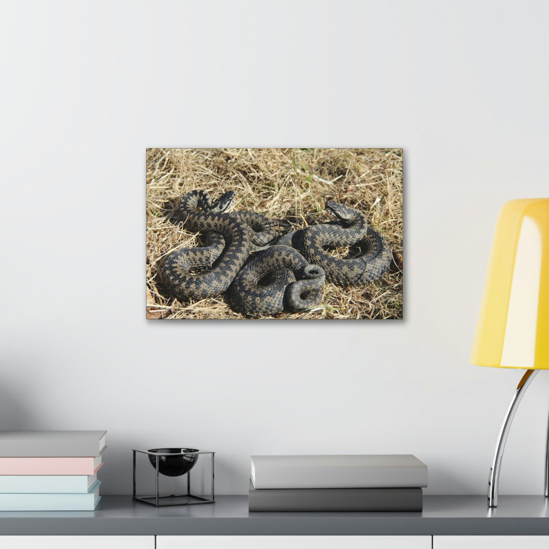 No Frame Print on Canvas
