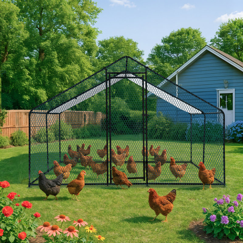 Emmeric Walk In Chicken Run, H 78 po x l 157 po x P 117 po, Noir