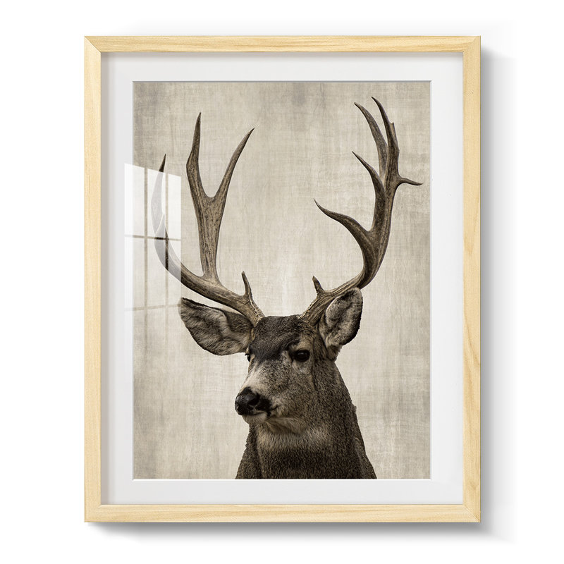 Sabio -Gallery Wrapped Canvas