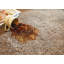 My Lux Deep Pile Stone Rug-92825260