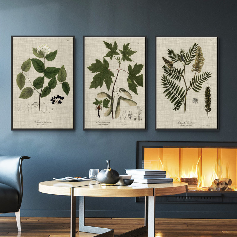 Knorr Shells & Coral VI, ensemble de 3 toiles encadrées sur toile, H 27 po x l 54 po, Cadre noir