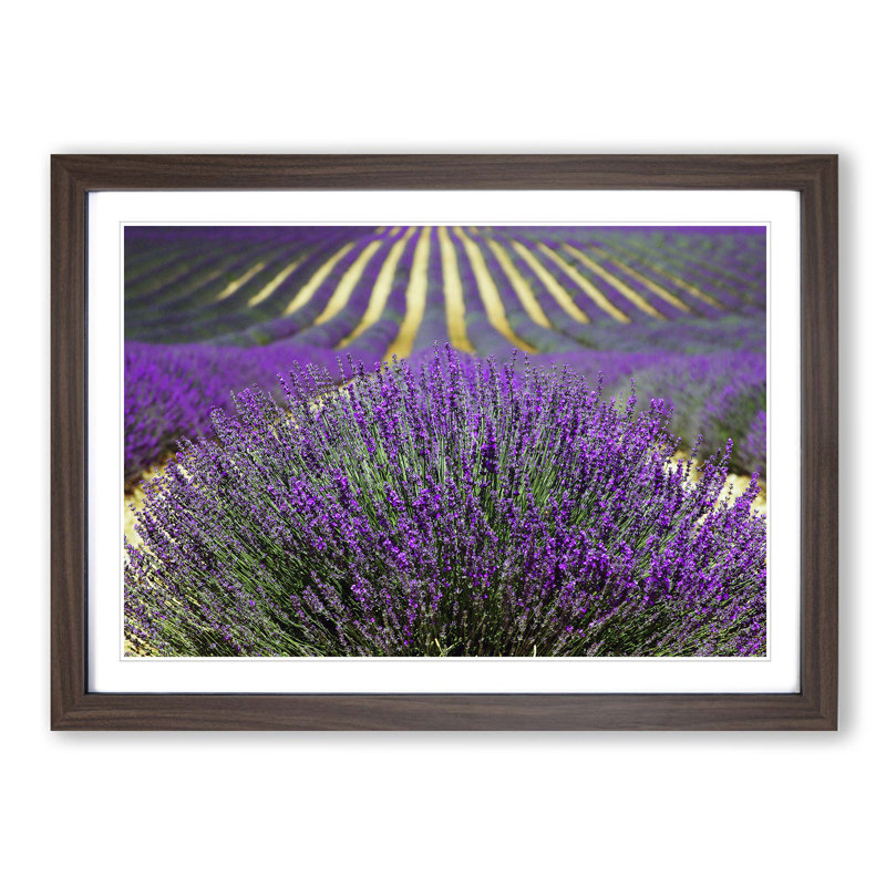 Single Picture Frame Print, Walnut