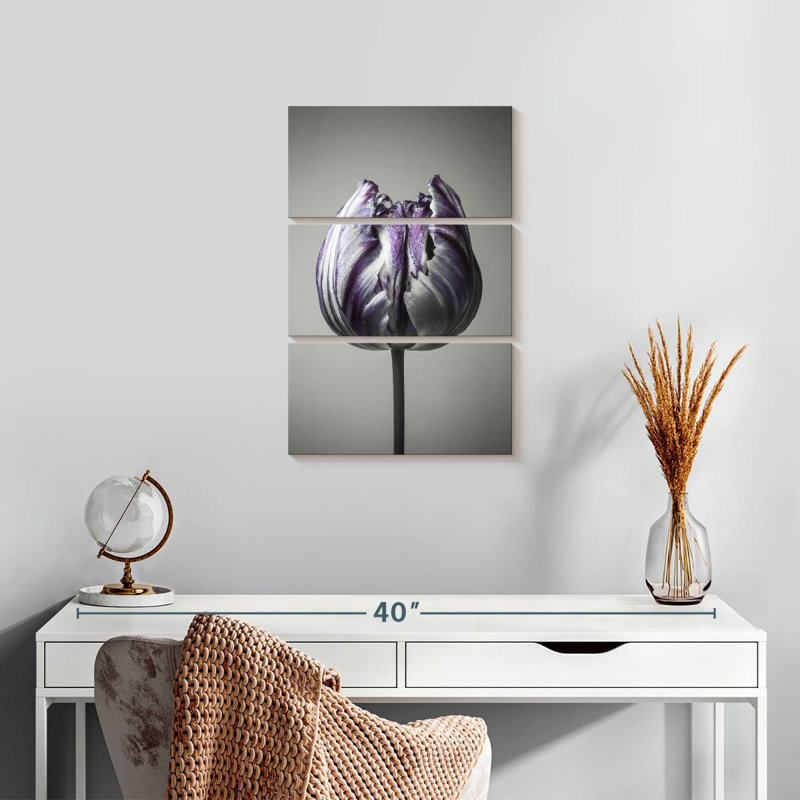 Harnek Baroque I, 45" H x 28" W