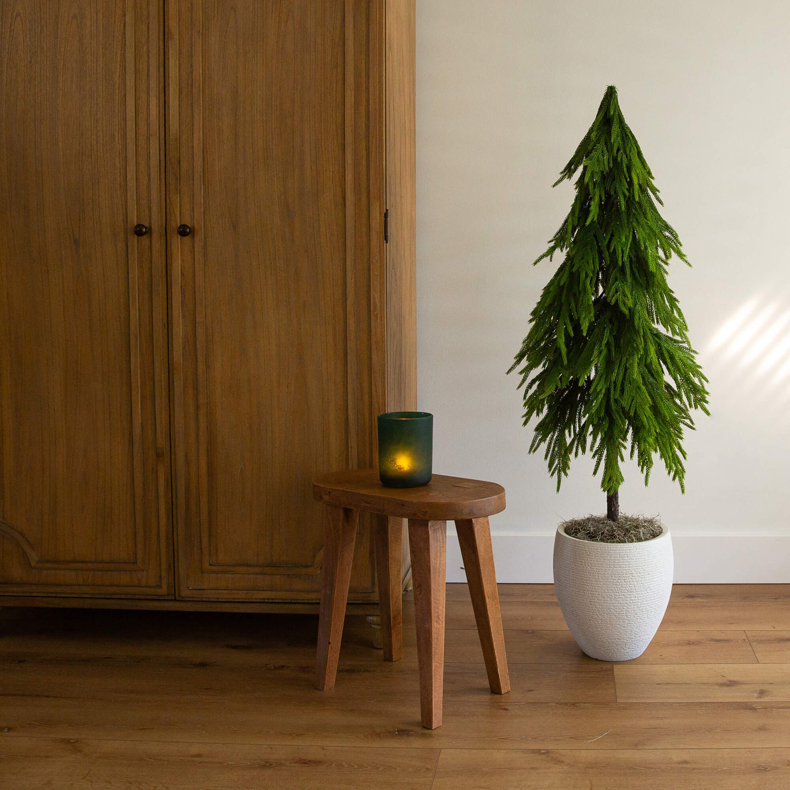 4Ft. Artificial Real Touch Down Swept Norfolk Pine Tree With Natural Look, 4" H x 16" W x 6.5" D