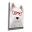 «West Highland Terrier portant des lunettes de hipster» par Faugaby Affiliates, art mural sur toile-1688827582