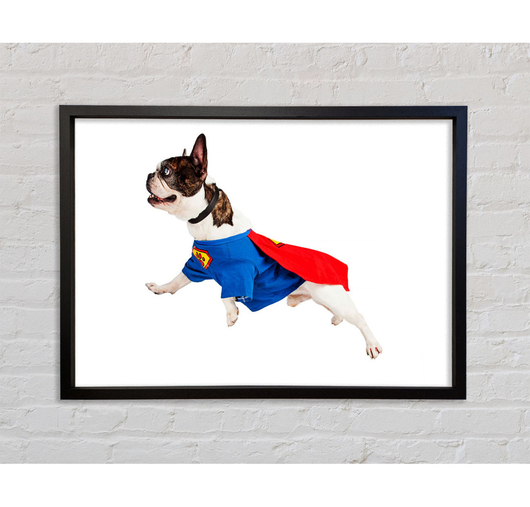 Super Dog - Einzelner Bilderrahmen Kunstdrucke auf Leinwand