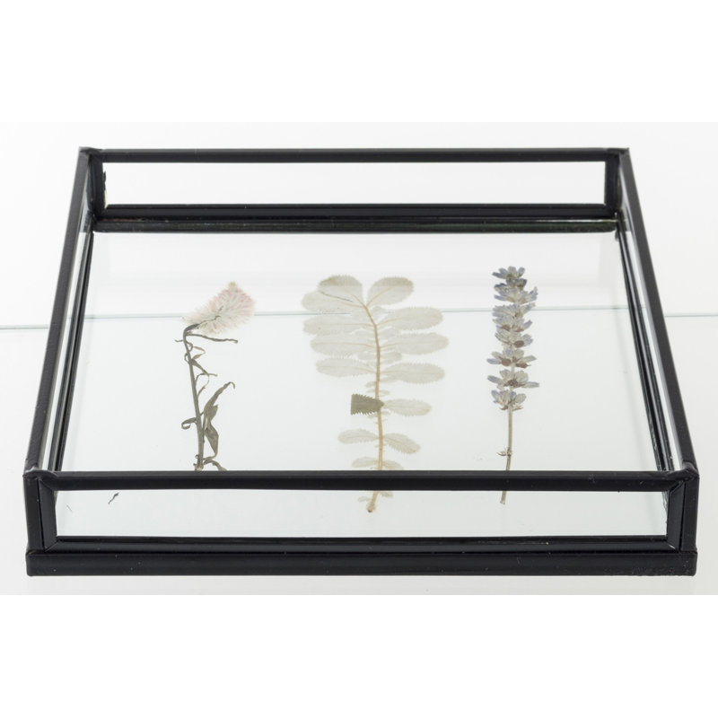 Tiarra Tray