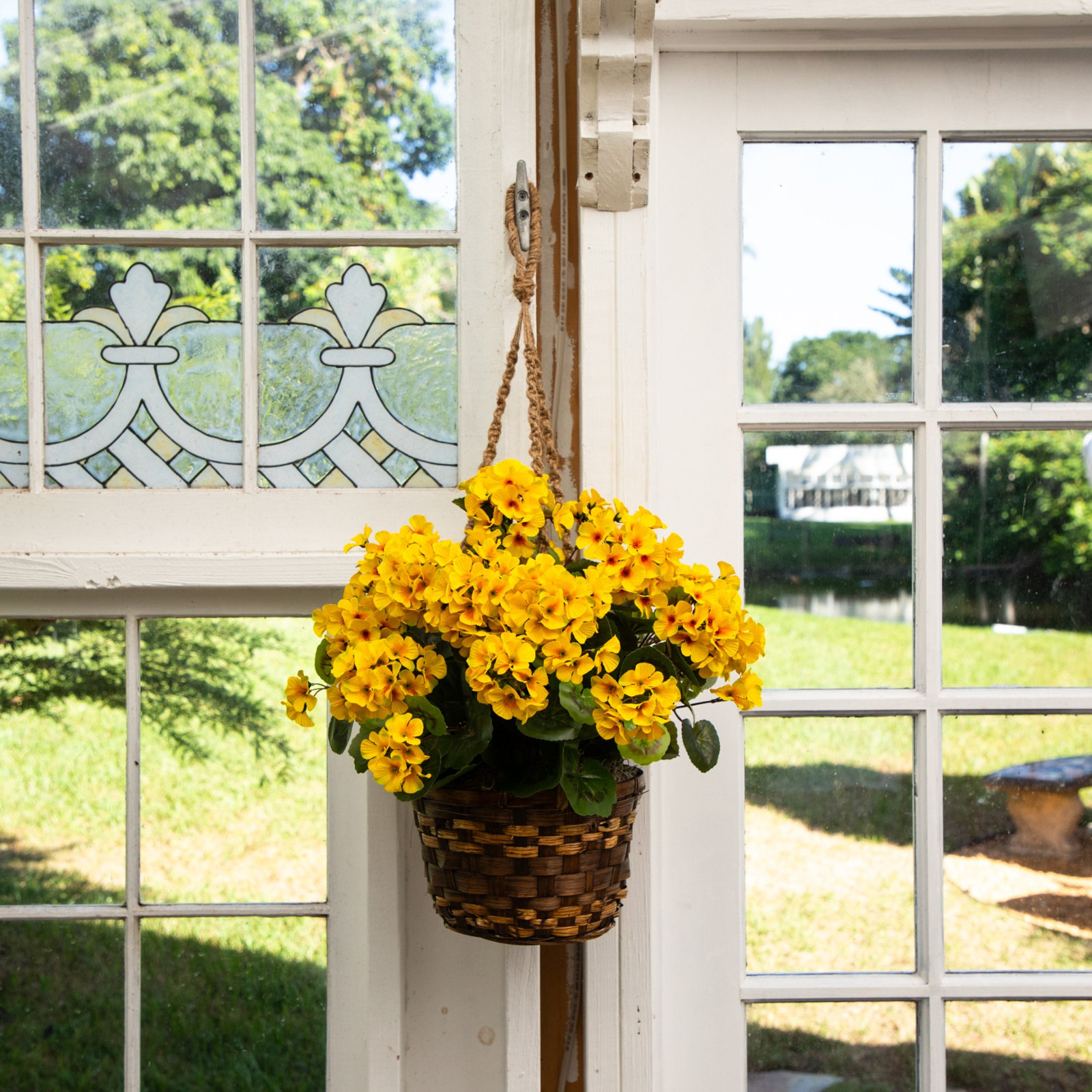 UV Resistant Geranium Hanging Basket, Yellow