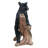 Black Bears on Log