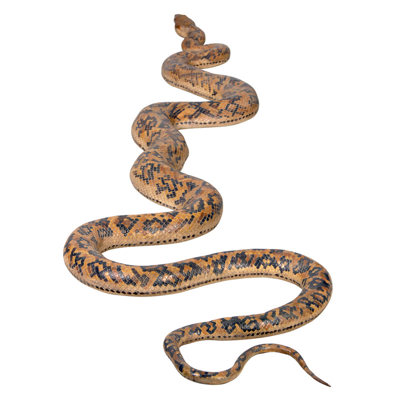 Statue de serpent burmese python Giant