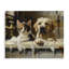 Toile pour chat et chien Bath Buddies, conception de Shawna Stewart-730935957