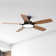 52 Inch Ceiling Fans With Lights Remote Control Quiet Fan (Set Of 2)