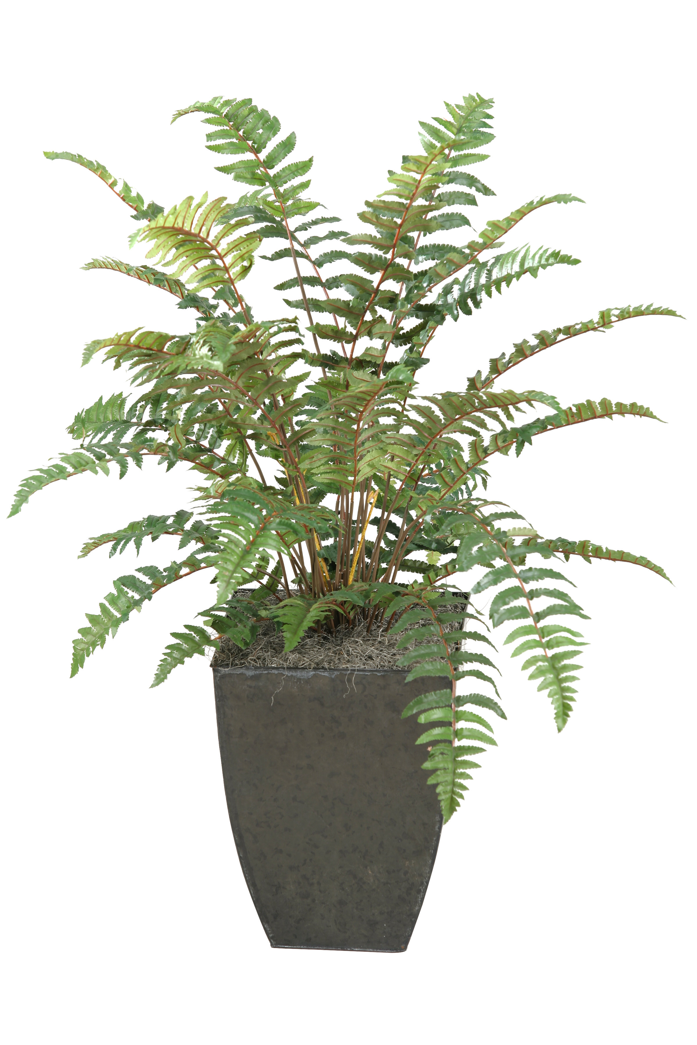 D & W Silks 36'' Faux Fern Plant in Metal Planter & Reviews Wayfair