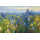Lark Manor Blue and Yellow Flower Field V2 by Carol Rowan - Painting ...