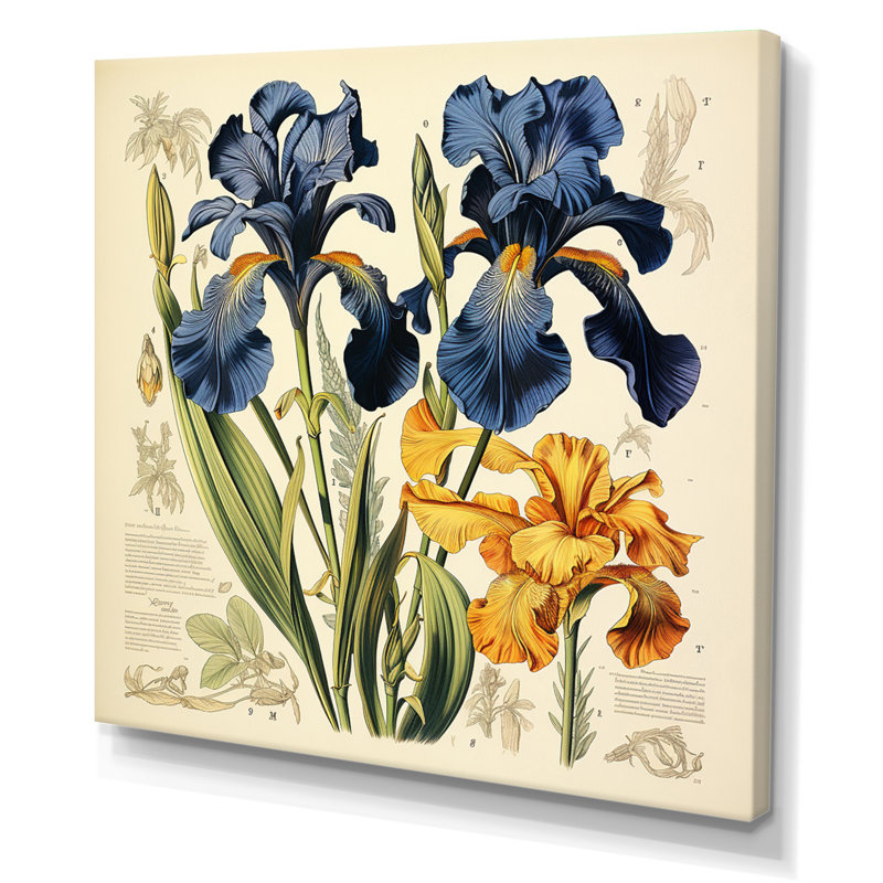 Illustration rétro - iris bleus, H 16 po x l 16 po x P 1 po, Toile tendue