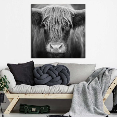 Cow Nose BW