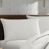 Eddie Bauer Down Blend Medium Support Chamber Pillow
