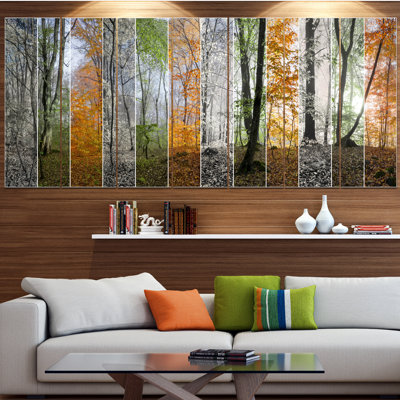 " Wood Panorama Changing Seasons "