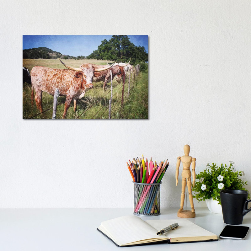 Texas Longhorns III by Ann Hudec - Wrapped Canvas Print, 20.32 cm H x 30.48 cm W