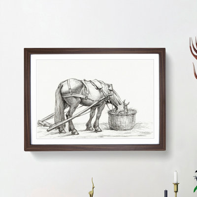 Horse Drinking by Jean Bernard - Picture Frame Drawing Print