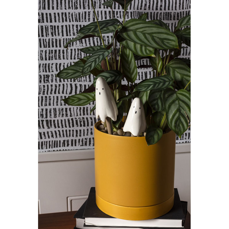 Ensemble de 2 tiges de plantes Jireh
