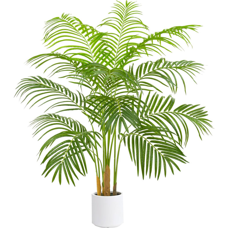 Palm Tree With 13 Trunks And Real Bark Design