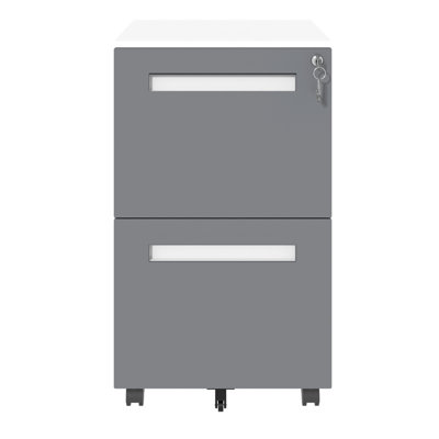 2-Drawer Mobile File Cabinet With Lock, All-Steel Metal Storage Cabinet On 360° Wheels, For Home Office & Commercial Use, Fully Assembled, Holds A4/Letter/Legal Files