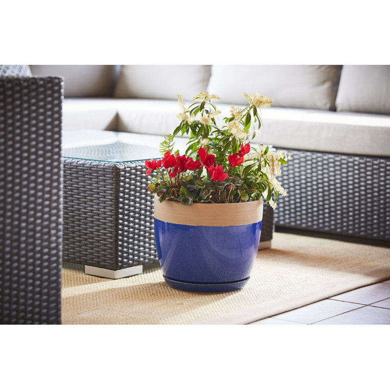 Ana Ceramic Pot Planter with Saucer