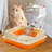 Go Fresh - Pet Odor Eliminator