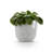 Ecopots Oslo Indoor/Outdoor Modern Recycled Plastic Flower Pot Planter-80209421-80822705