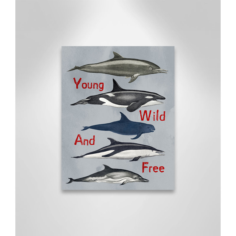 «Young and Wild», impression sur papier, H 14 po x l 11 po x P 1,5 po, Canevas