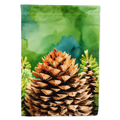 Double Sided 40'' H x 28'' W Polyester House Flag