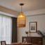 Luminaire suspendu 1 lumière Teardrop Seagrass