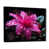 Black Floater Framed