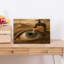 Eye Wide Open Abstract Contemporary Wall Art Print by Katie Towers - Wrapped Canvas Print-204664737