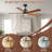 Ceiling Fan With Walnut Blades 18W Three Color Dimmable Light Memory Function & Reversible Motor