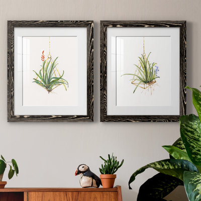 Gardenaire I - Ensemble de 2 peintures