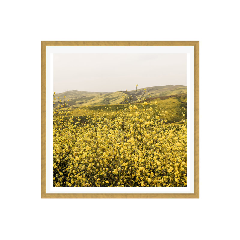«Spring Is Here Yellow Wildflowers» par By Brije, H 36 po x l 36 po x P 0,75 po, Papier avec cadre doré, Oui