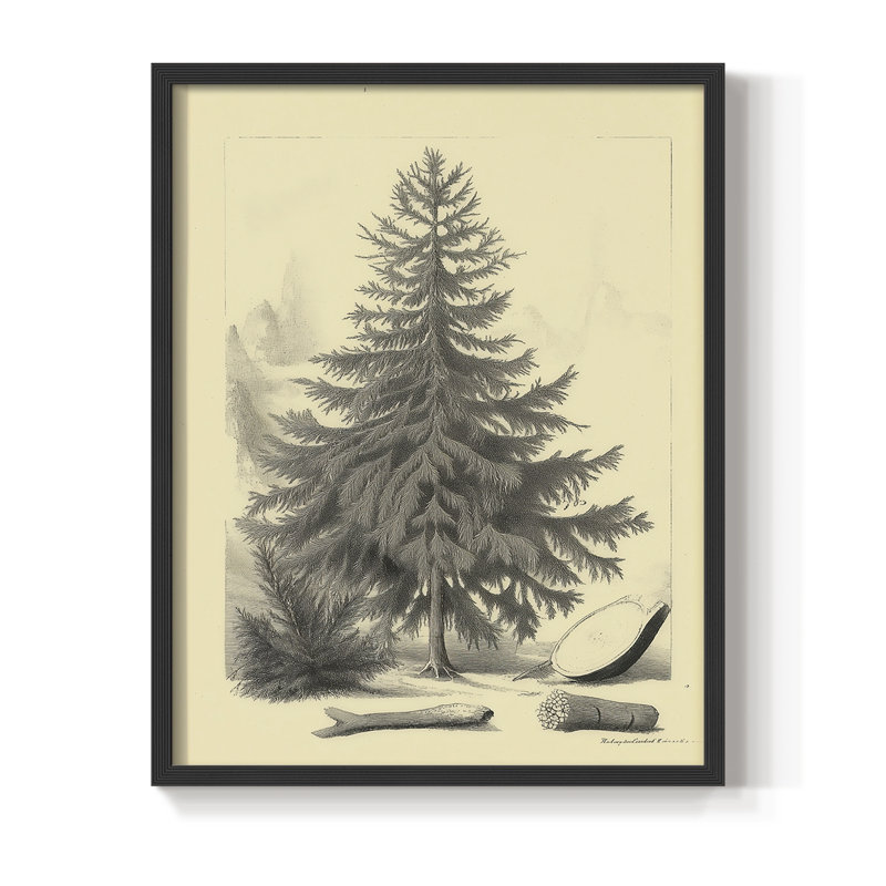 Reproduction d'art encadrée de Noël, H 15 po x l 12 po, Noir, noir, noir, noir