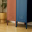 Striegel Steel Single Door Storage Cabinet-1867348070